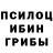 Галлюциногенные грибы ЛСД Jonas Celentano