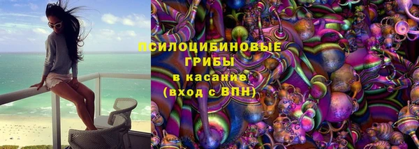 сатива Арсеньев