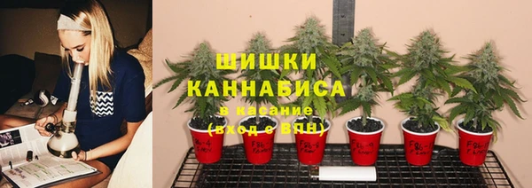 стафф Армянск